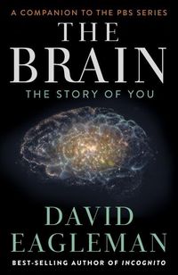 Bild vom Artikel BRAIN vom Autor David Eagleman