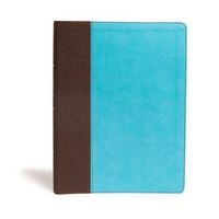 Produktbild: CSB Life Essentials Study Bible, Brown/Sky Leathertouch