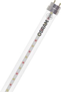 Produktbild: OSRAM LED-Pflanzenlampe LED TUBE T8 18 EM FLUORA 600 mm 6.6W 604.00 mm G13 6.6 W Warmwei&szlig; R&ouml;hrenform 1 St.