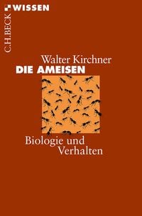 Produktbild: Die Ameisen