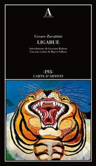 Produktbild: Ligabue