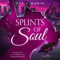 Produktbild: Splints of Soul