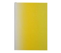 Produktbild: Lacroix, C: Neon Yellow A5 Ombre Paseo Notebook