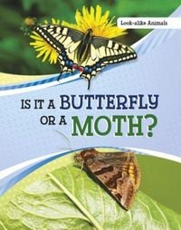 Produktbild: Is It a Butterfly or a Moth?