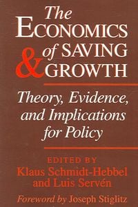 Produktbild: The Economics of Saving and Growth