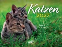 Produktbild: Katzen 2027 Eintragkalender