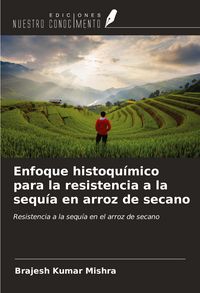 Produktbild: Enfoque histoqu&iacute;mico para la resistencia a la sequ&iacute;a en arroz de secano
