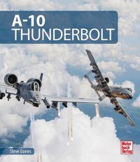 Bild vom Artikel A-10 Thunderbolt vom Autor Steve Davies