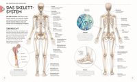 Yoga verstehen - Die Anatomie der Yoga-Haltungen