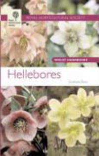 Produktbild: Hellebores