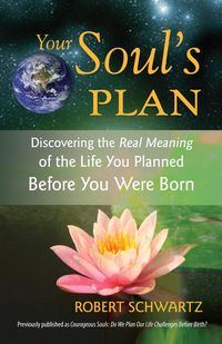 Produktbild: Your Soul's Plan
