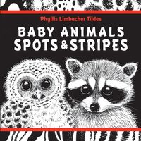 Produktbild: Baby Animals Spots & Stripes