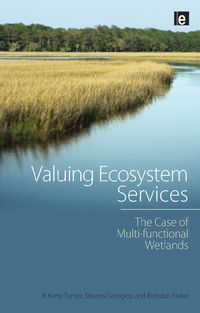 Produktbild: Valuing Ecosystem Services
