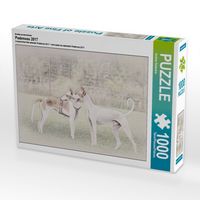 Produktbild: CALVENDO Puzzle Ein Motiv aus dem Kalender Podencos 2017 | 1000 Teile Lege-Gr&ouml;&szlig;e 64x48cm Foto-Puzzle f&uuml;r gl&uuml;ckliche Stunden
