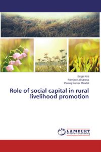 Produktbild: Role of social capital in rural livelihood promotion