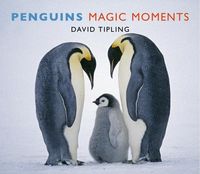 Produktbild: Tipling, D: Penguins