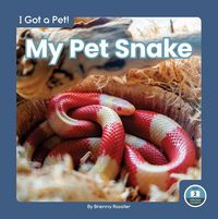 Produktbild: My Pet Snake
