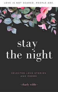 Produktbild: Stay The Night