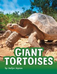 Produktbild: Giant Tortoises