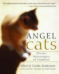 Produktbild: Angel Cats