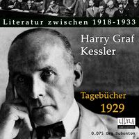 Produktbild: Tageb&uuml;cher 1929