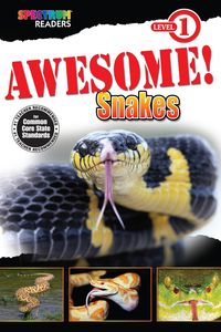 Produktbild: Awesome! Snakes