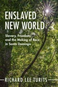 Produktbild: Enslaved New World