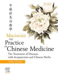 Produktbild: The Practice of Chinese Medicine E-Book