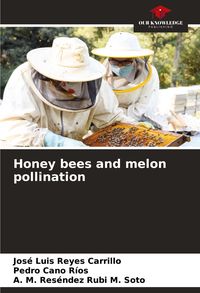 Produktbild: Honey bees and melon pollination