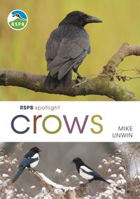 Produktbild: RSPB Spotlight Crows