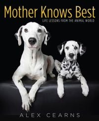 Produktbild: Mother Knows Best
