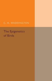 Produktbild: The Epigenetics of Birds