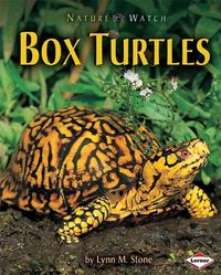 Produktbild: Nature Watch Box Turtles