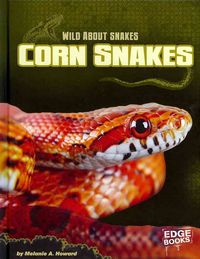 Produktbild: Corn Snakes
