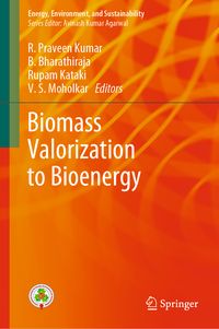 Produktbild: Biomass Valorization to Bioenergy