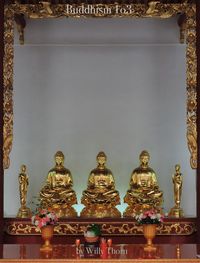 Produktbild: Buddhism 103