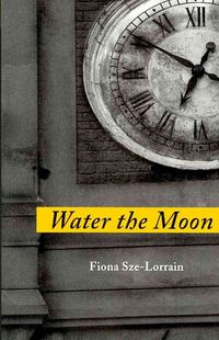 Produktbild: Water the Moon