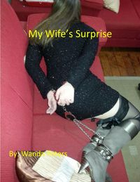 Produktbild: My Wife's Surprise