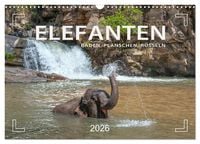Produktbild: Elefanten - Baden, Planschen, R&uuml;sseln (Wandkalender 2026 DIN A3 quer), CALVENDO Monatskalender