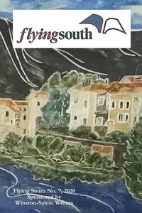 Produktbild: Flying South 2020