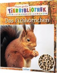 Produktbild: Meine gro&szlig;e Tierbibliothek: Das Eichh&ouml;rnchen