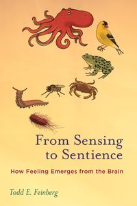 Produktbild: From Sensing to Sentience