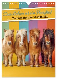 Produktbild: Das Leben ist ein Ponyhof - Zwergponys im Studiolicht (Wandkalender 2026 DIN A4 hoch), CALVENDO Monatskalender