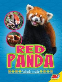 Produktbild: Red Panda