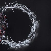 Bild vom Artikel DUAL(Jewel_Dusk Version) vom Autor The Rose