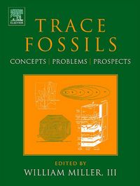 Produktbild: Trace Fossils