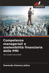 Produktbild: Competenze manageriali e sostenibilit&agrave; finanziaria delle PMI