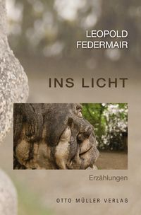 Produktbild: Ins Licht