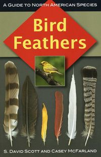 Produktbild: Bird Feathers