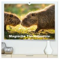 Produktbild: Magische Tiermomente (hochwertiger Premium Wandkalender 2027 DIN A2 quer), Kunstdruck in Hochglanz